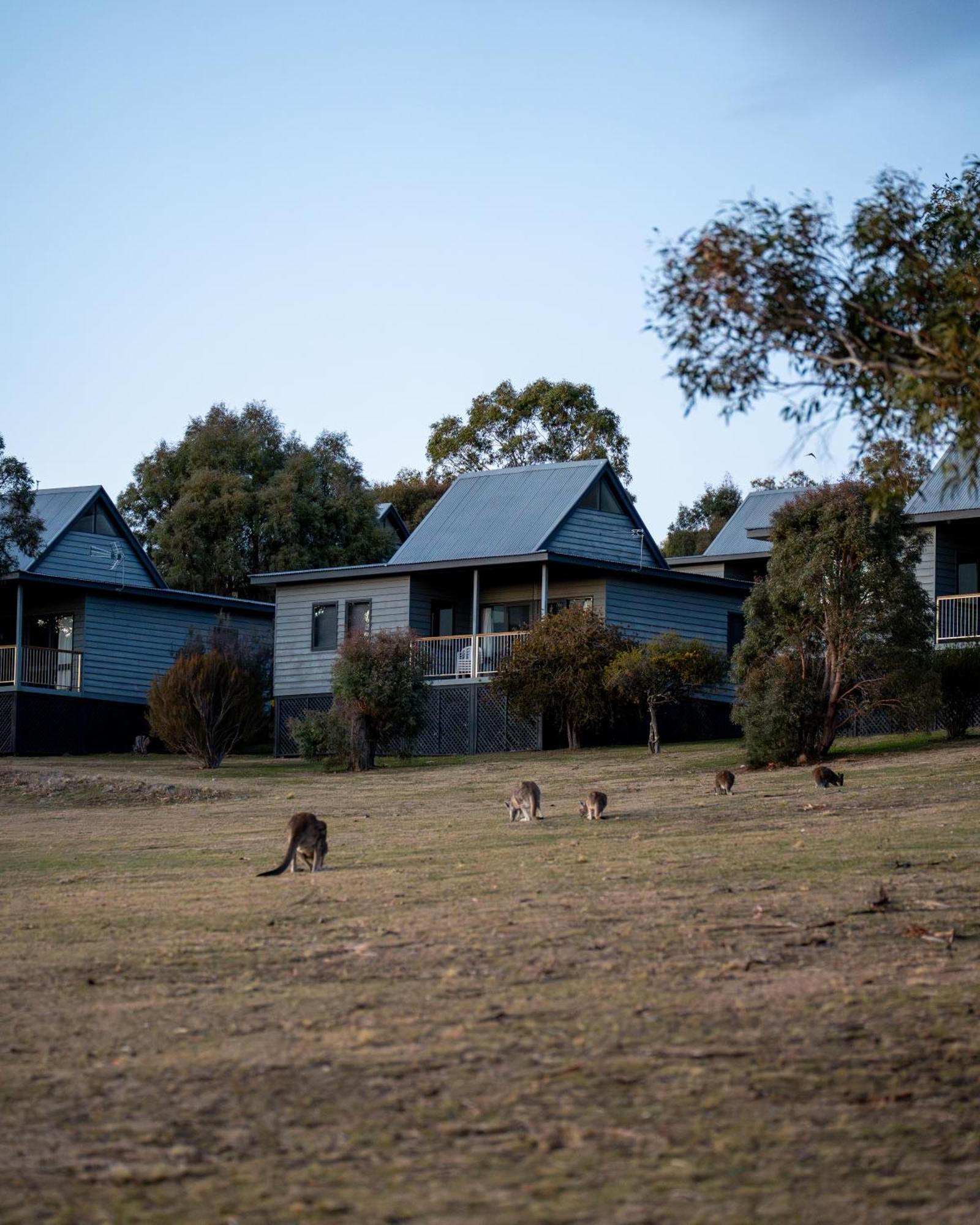 Adventist Alpine Village Jindabyne Exterior photo